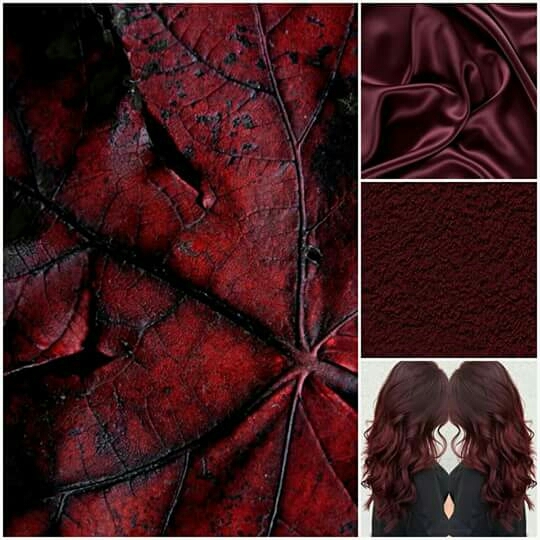 bordo