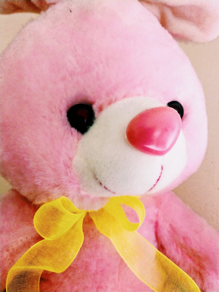 Teddy