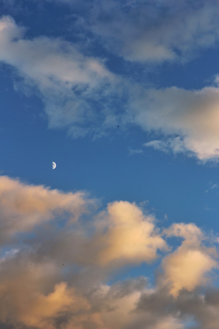 moon