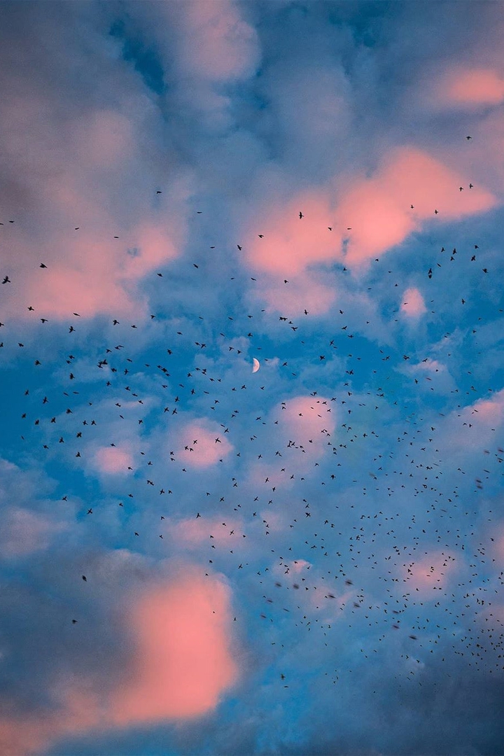 sky