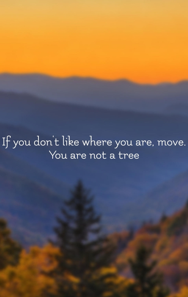 Simplife Quotes