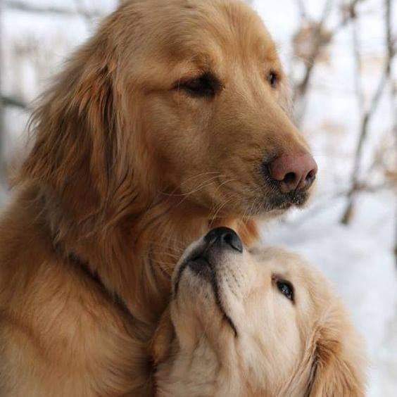 É assim quê se faz humanos!!!