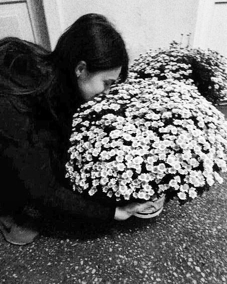 flovers