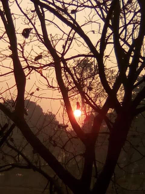 Sun Rise