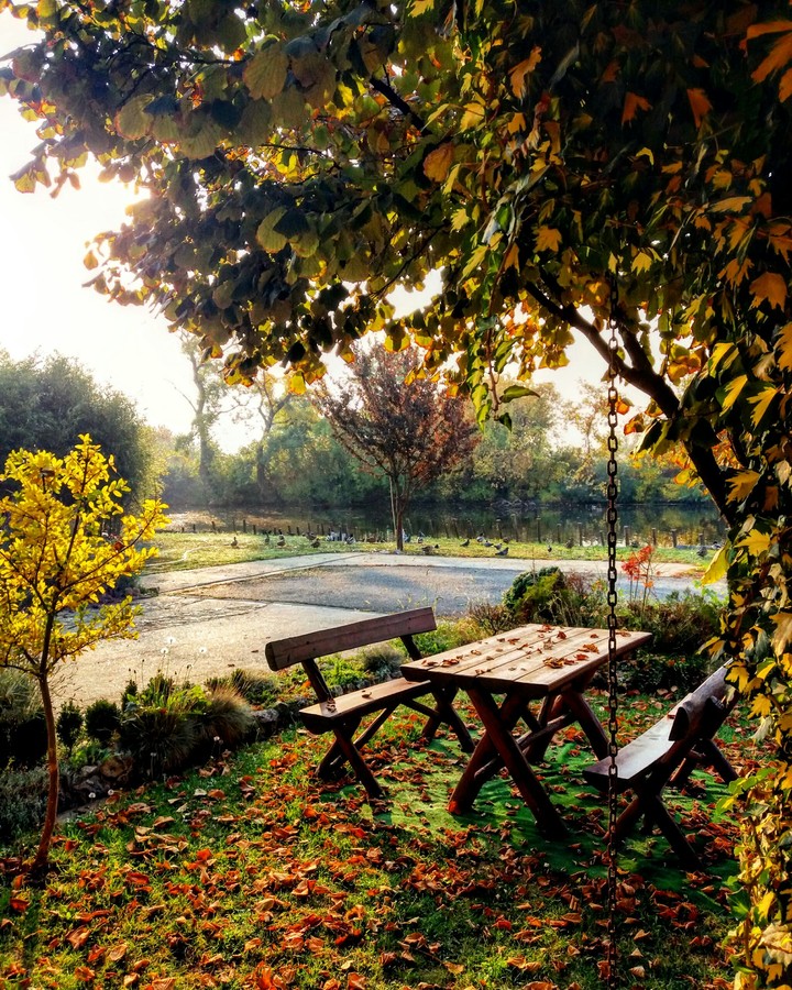 autumn