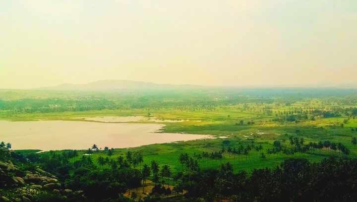 greenery