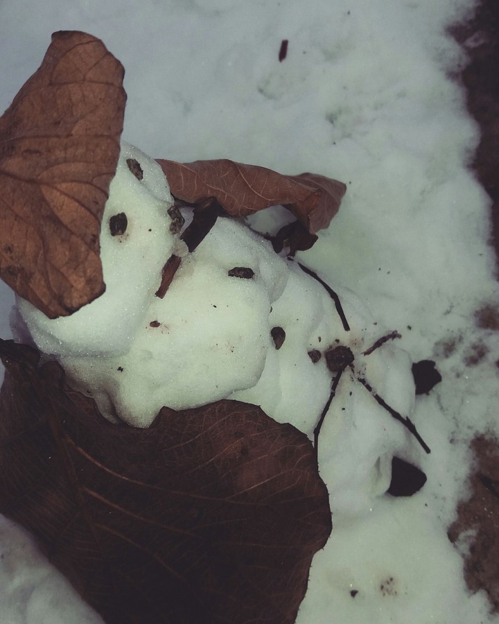 Gangsta Snowman