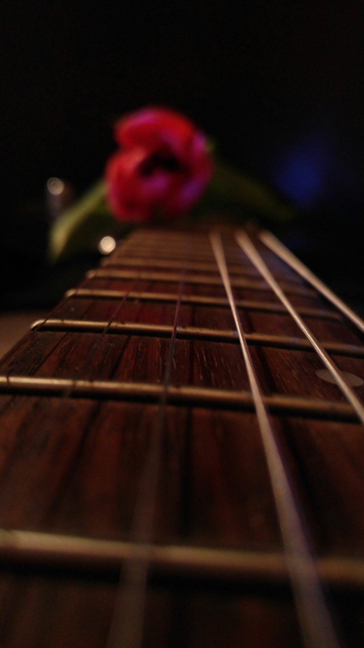 Gitara