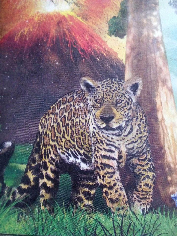 Tiger