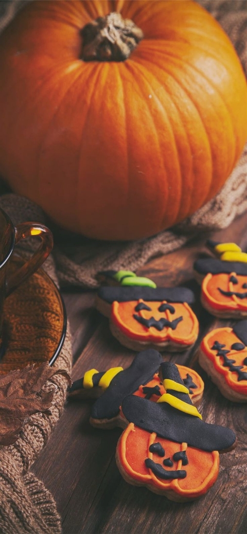 PUMPKIN and COOKIES