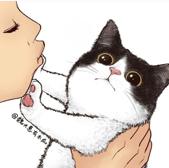 kitty?