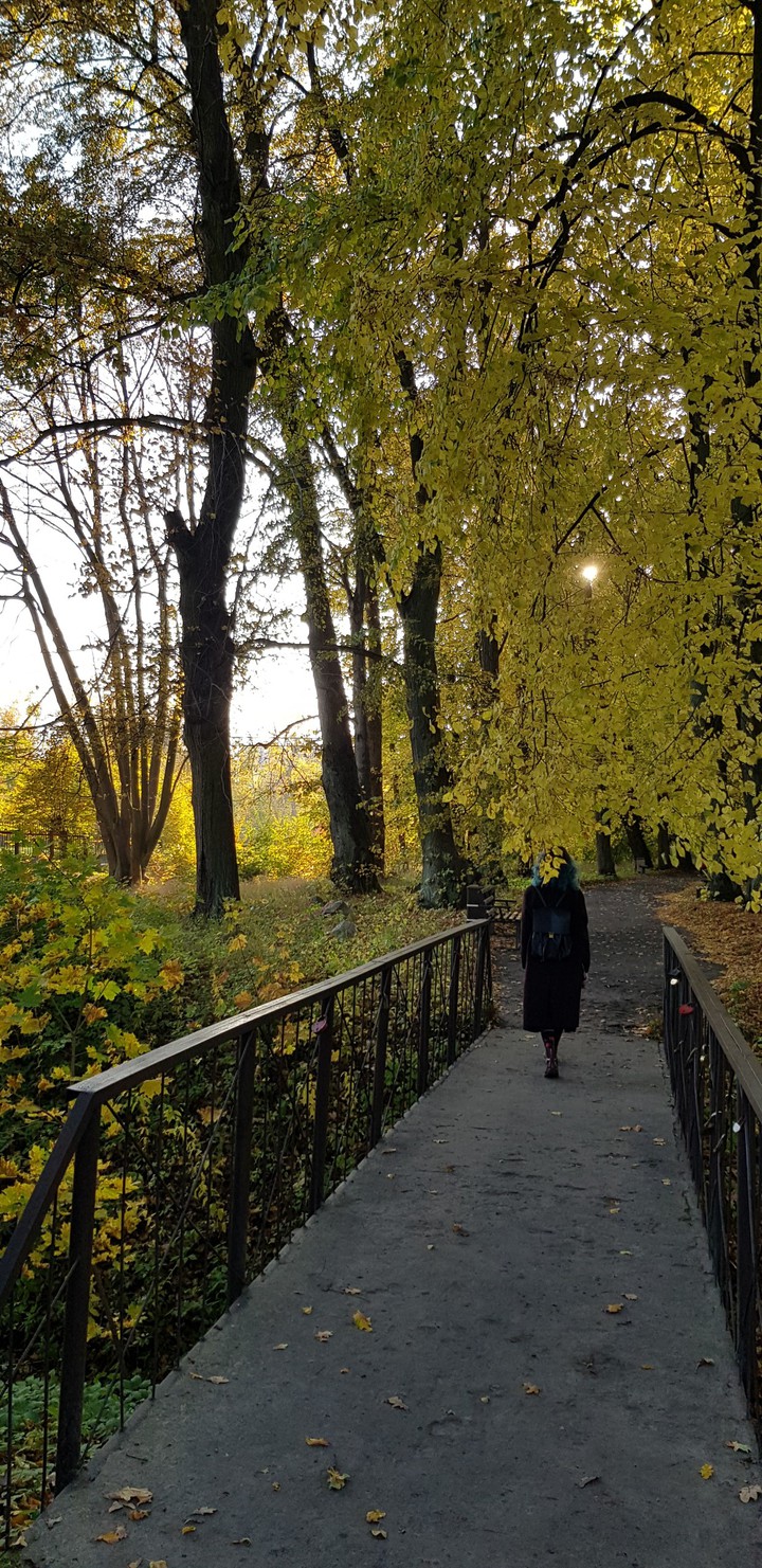 Осень