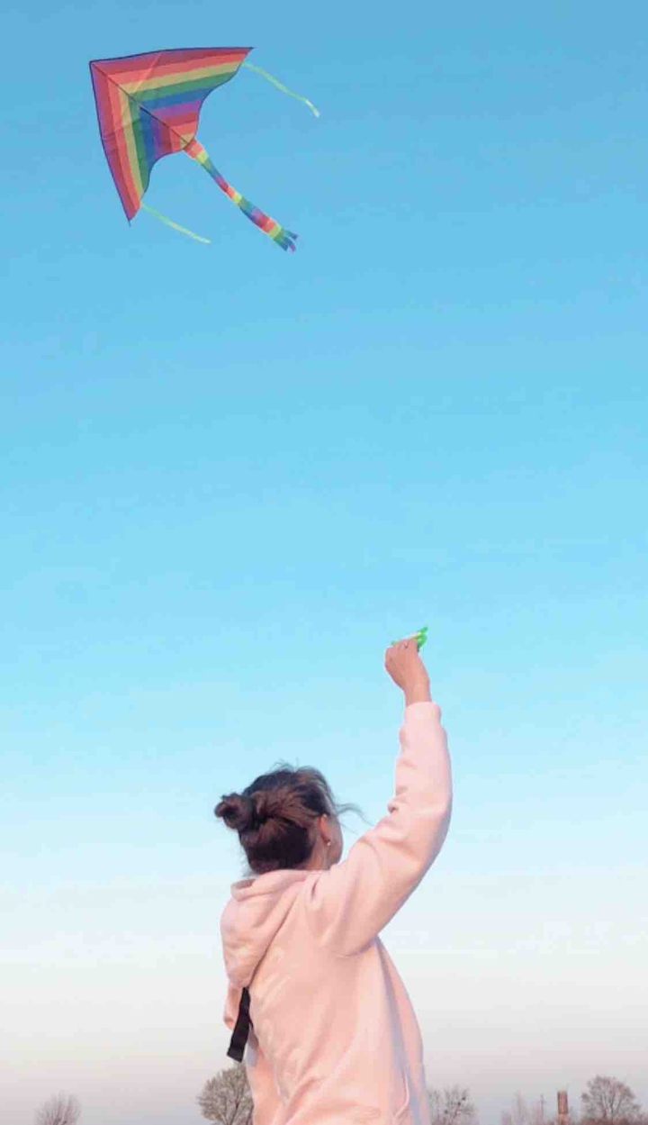 fly