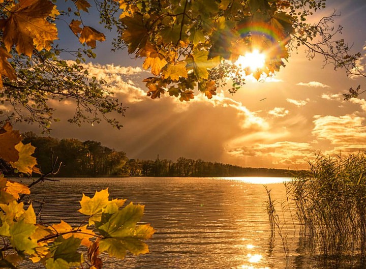 Autumn