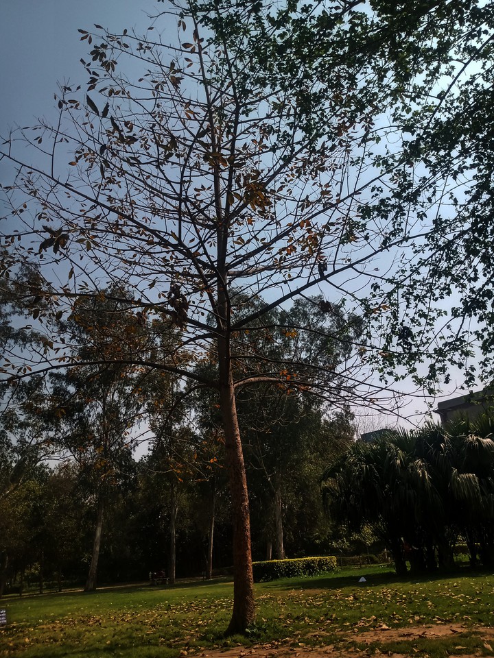 Autumn