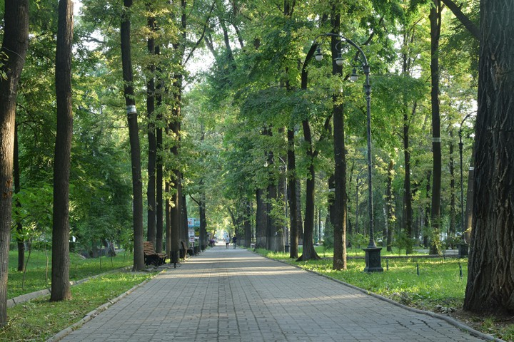 бульвар   парк