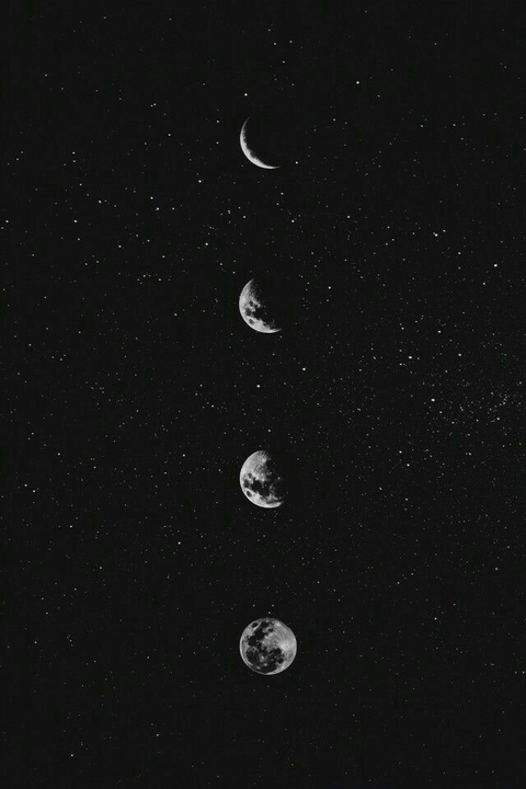 Life stages