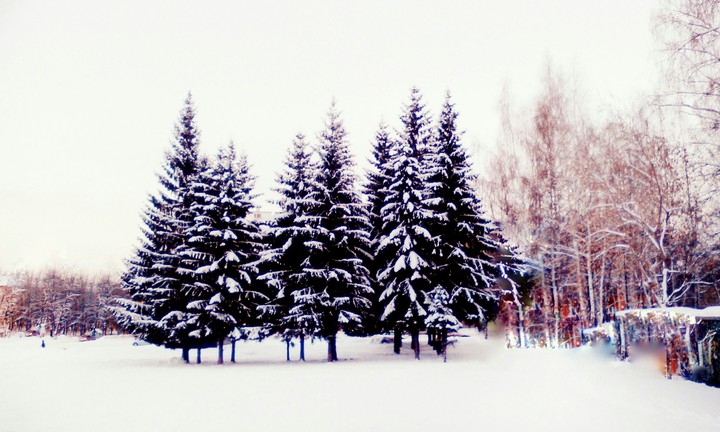 Winter.