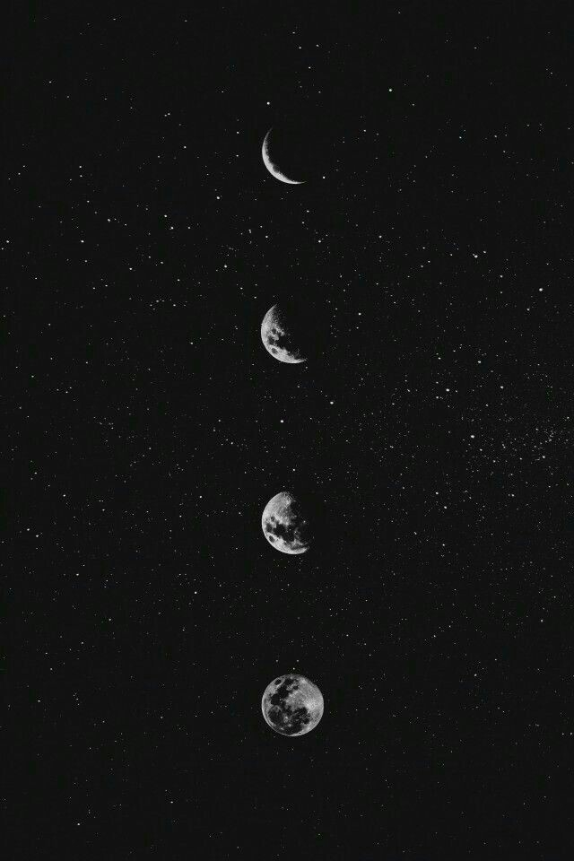 Life stages