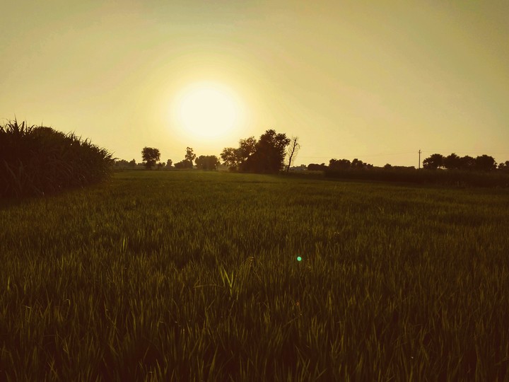 sunset