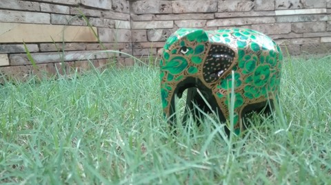 Elephant Tour