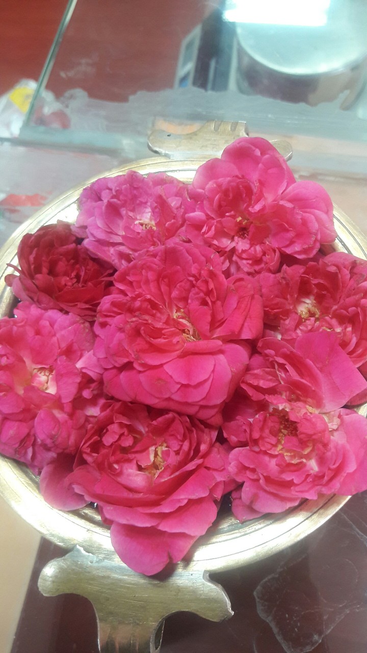 rose