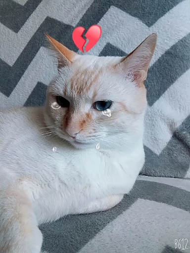 ???