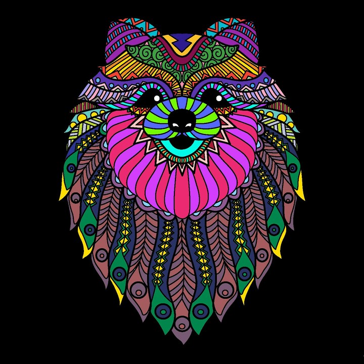 life in colours