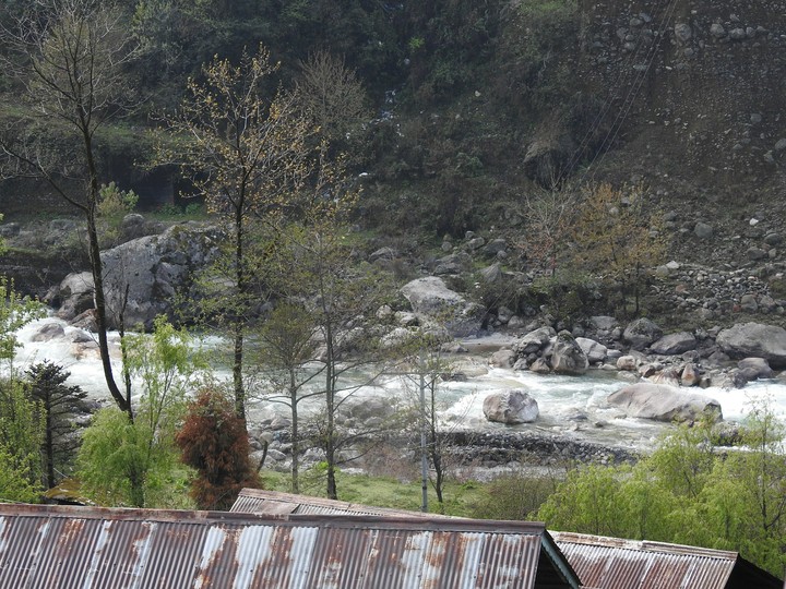 roaring Teesta