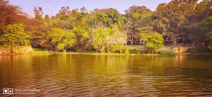 Lake