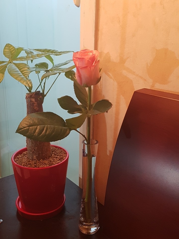 편안함