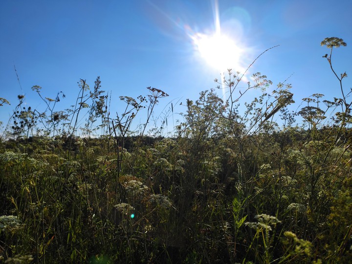can you hear the light wind right here?