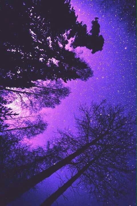 #night
