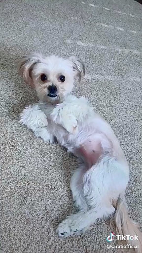 So CUTE!