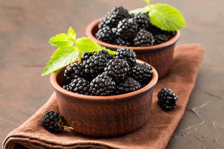 blackberry