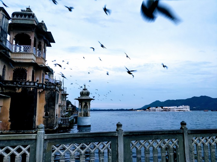 Udaipur Diaries