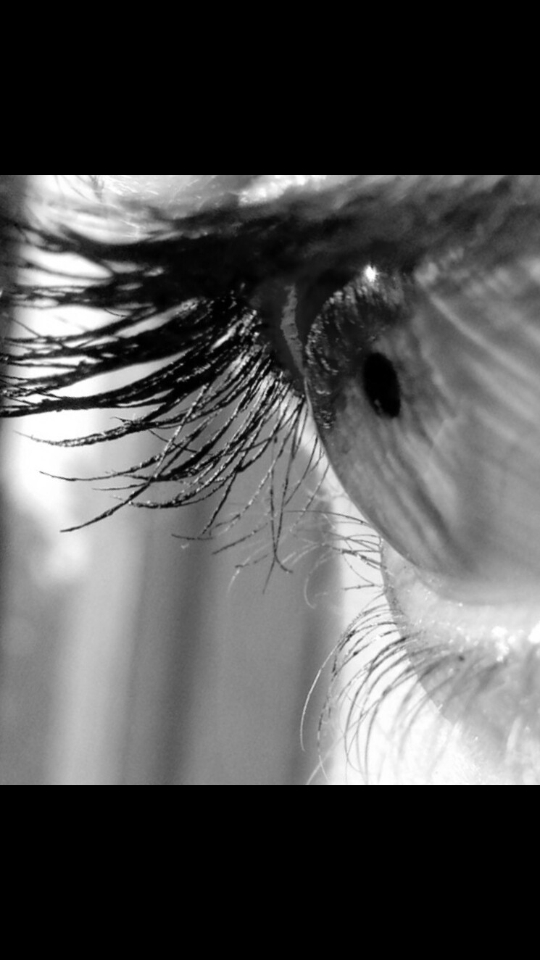 eye