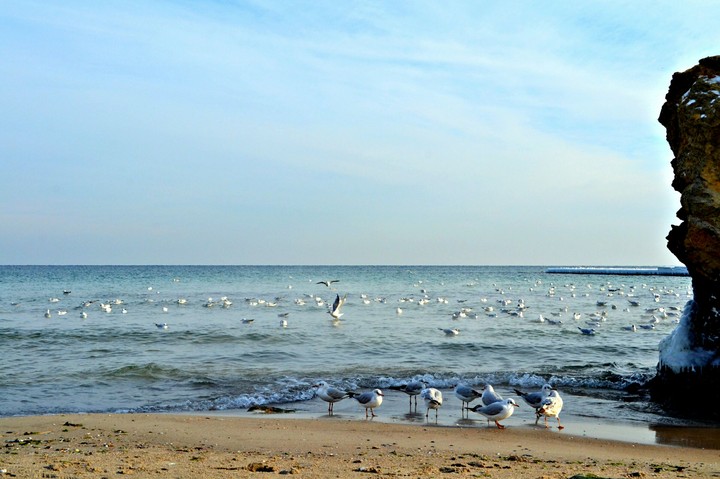 Odessa. Langeron Beach.