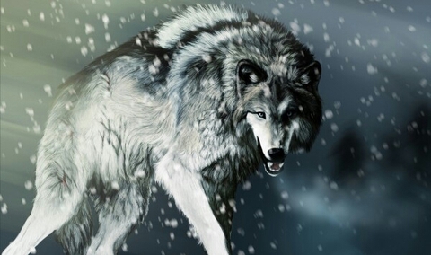 Wolf