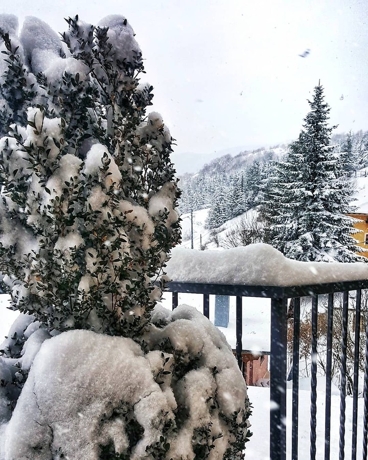 beautiful snow