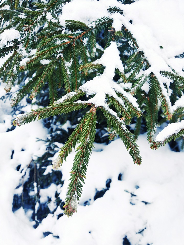 in the winter