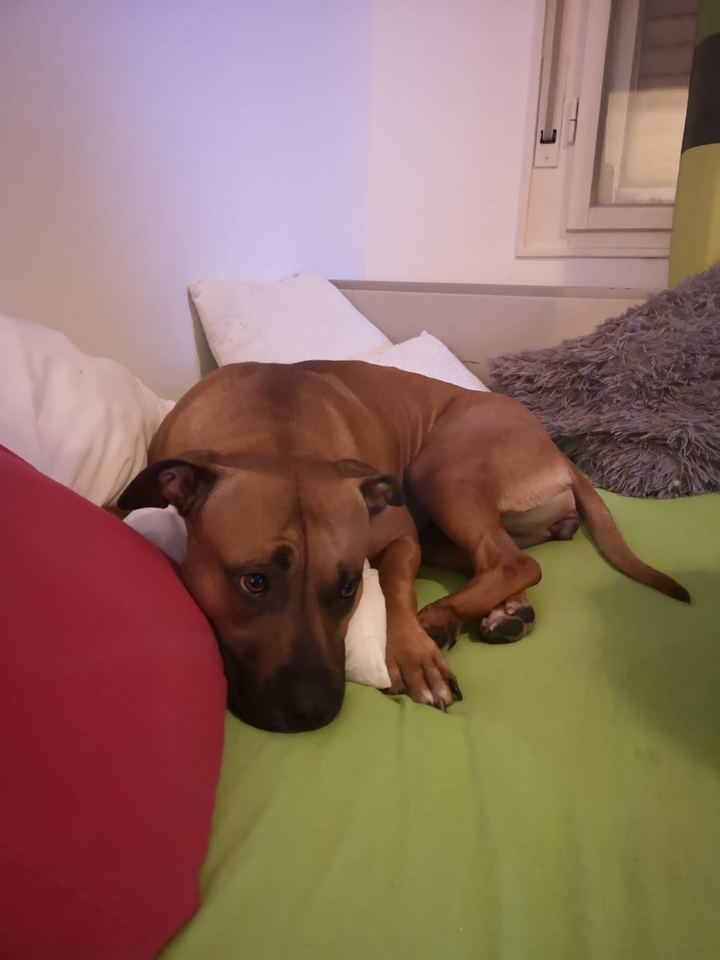 Nach denklich