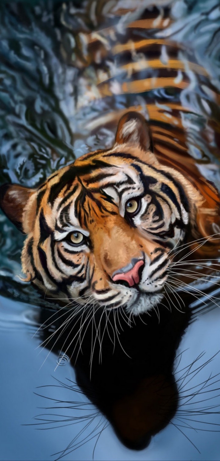 Tigerr