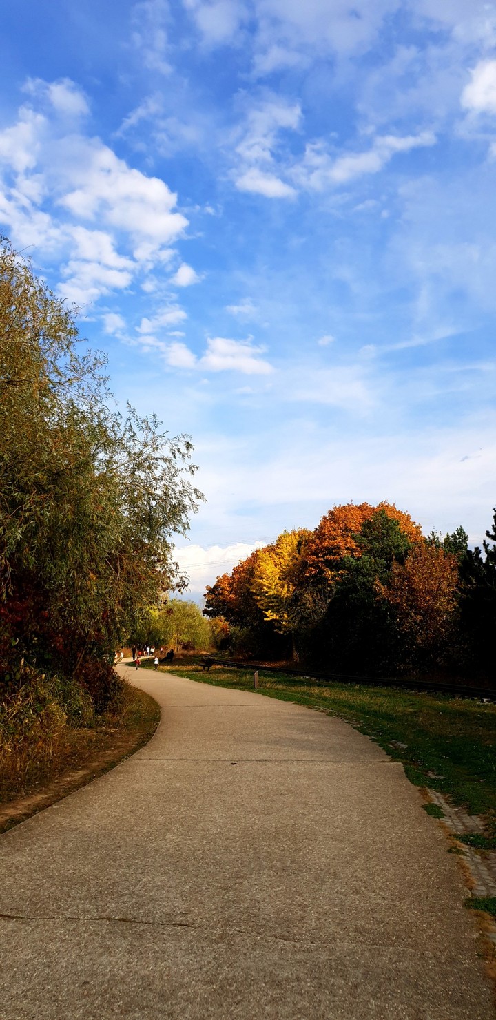 chemin au parc