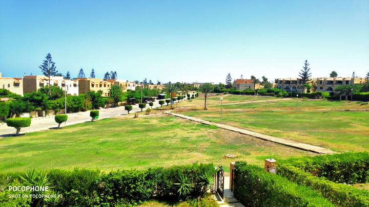garden view