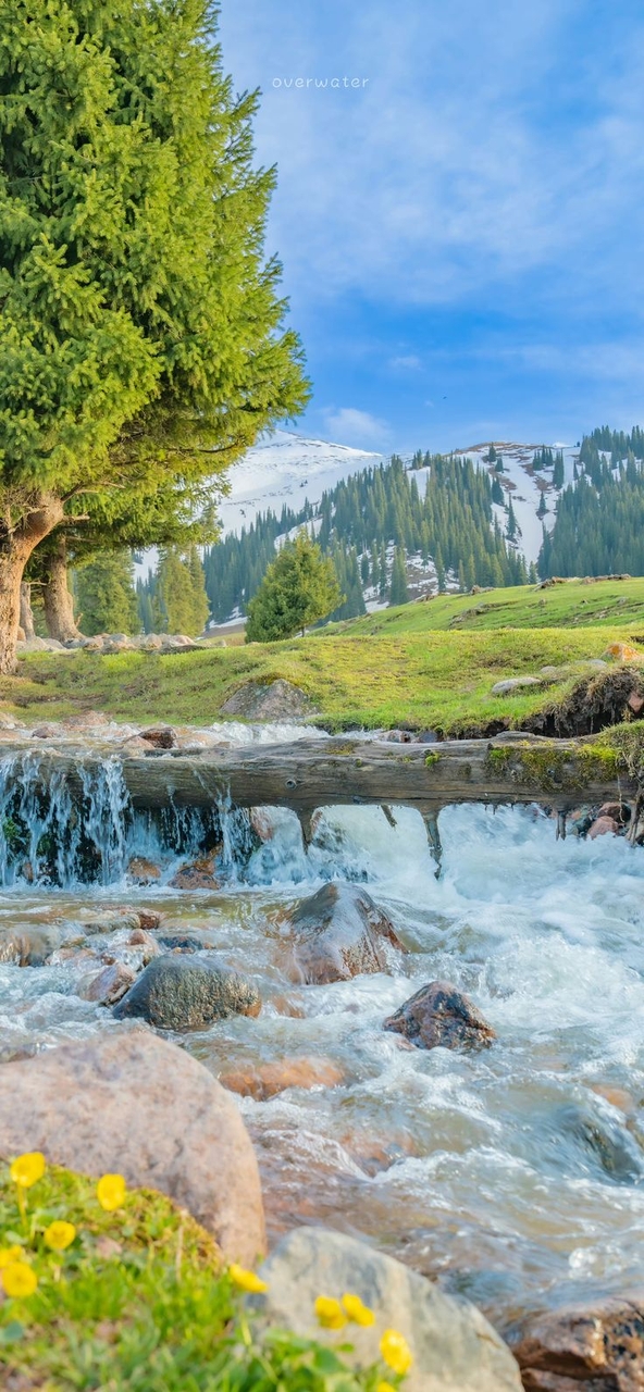 тапети landscapes, stream