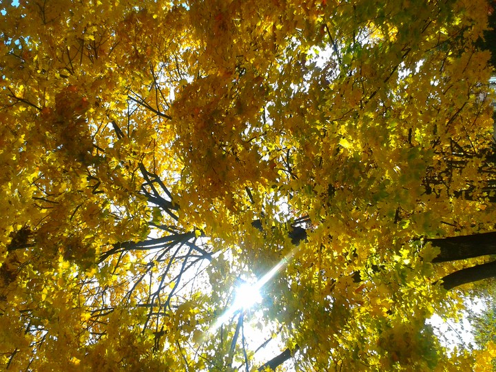autumn