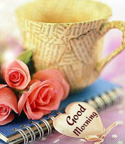 good morning
