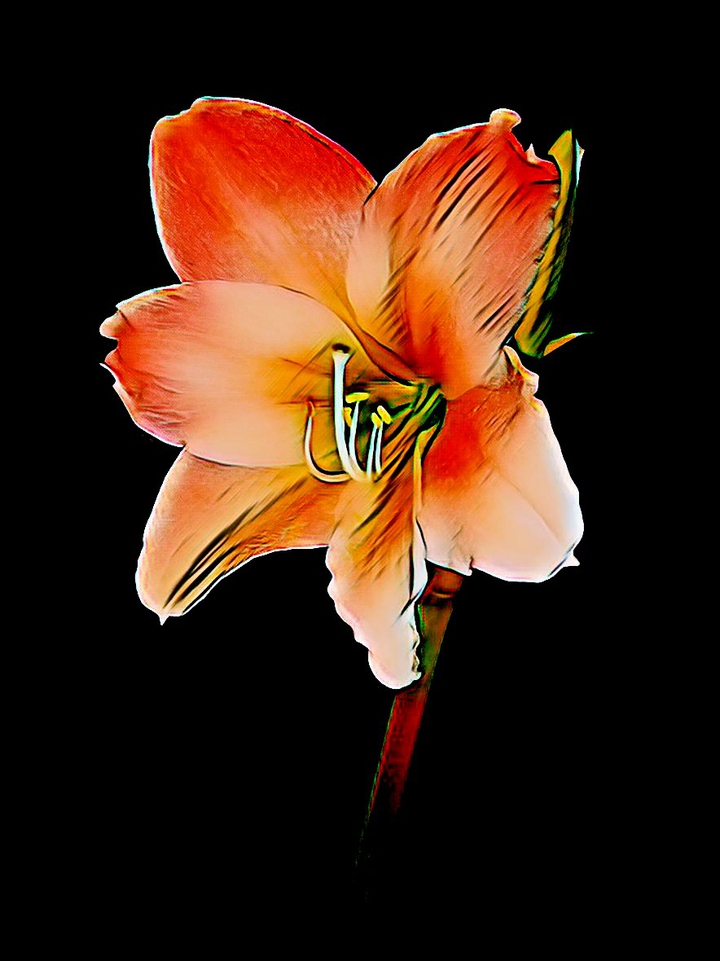 black background creates beautiful imagination