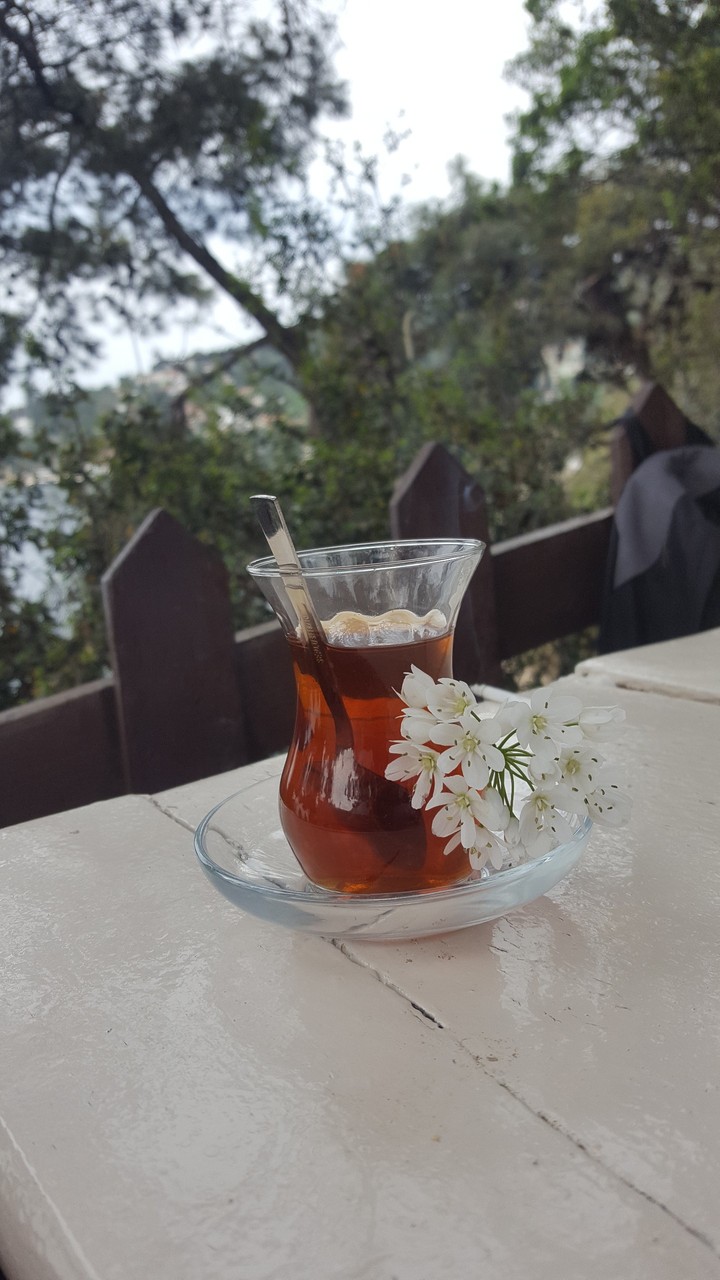 feel the life